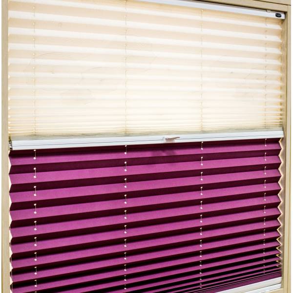 Шторы плиссе Cosiflor день-ночь