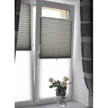 Шторы плиссе Bliss день-ночь