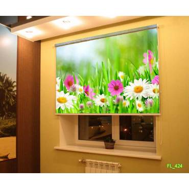 Рольшторы с фотопечатью